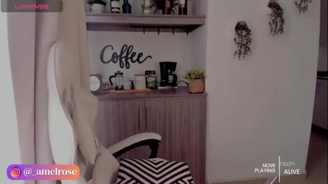 Image 2 of amelrose Stream on Chaturbate on 1 month ago