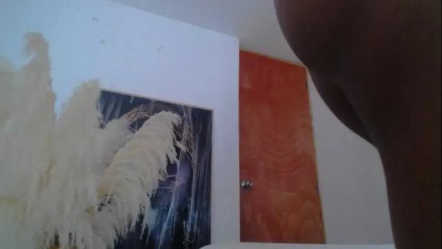 Image 7 of amina_green Stream on Chaturbate on 15 months ago
