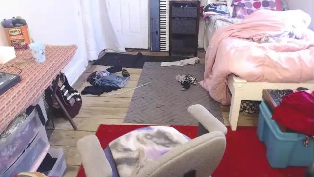Image 8 of amyattack Stream on Chaturbate on 1 month ago