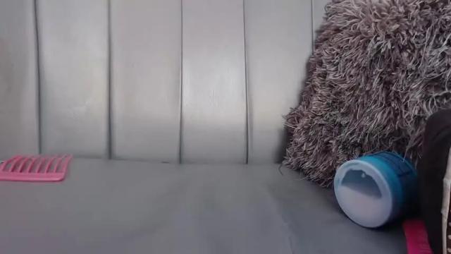 Image 8 of amyflaker Stream on Chaturbate on 14 months ago