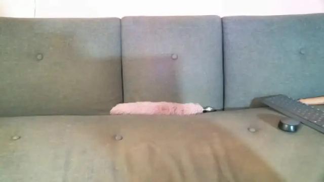 Image 3 of amykamila_9 Stream on Chaturbate on 13 months ago