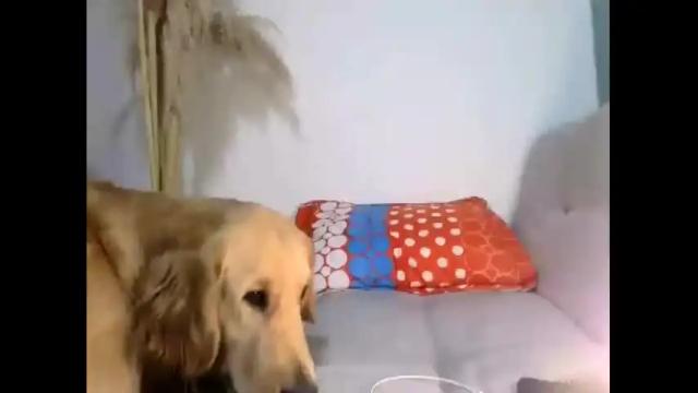 Thumbnail 2, ana980922's Stream at Chaturbate, 21 months ago