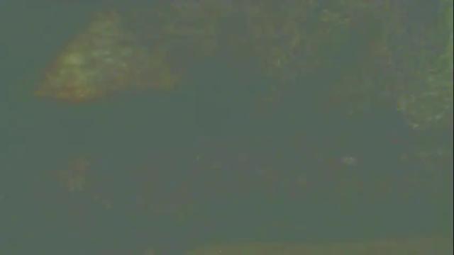 Image 7 of analwhore666 Stream on Chaturbate on 1 month ago