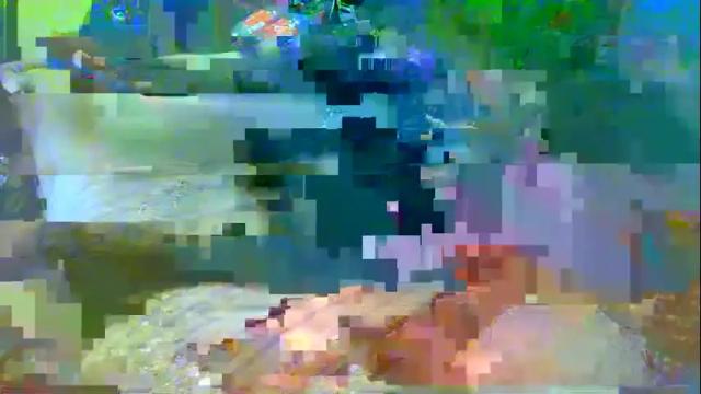 Image 3 of analwhore666 Stream on Chaturbate on 21 days ago