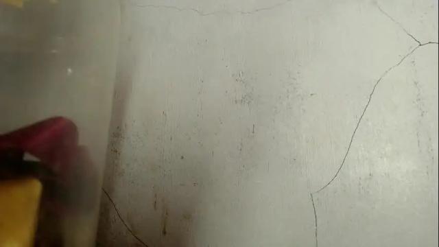 Thumbnail 2, anastasialore777's Stream at Chaturbate, 1 month ago