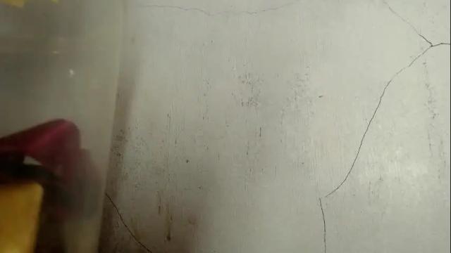 Image 6 of anastasialore777 Stream on Chaturbate on 1 month ago