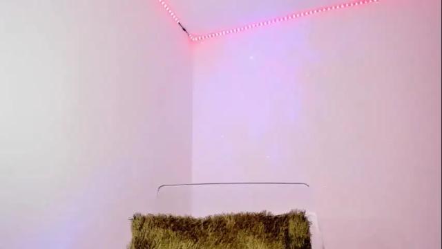 Image 10 of anastasiia5 Stream on Chaturbate on 2 months ago