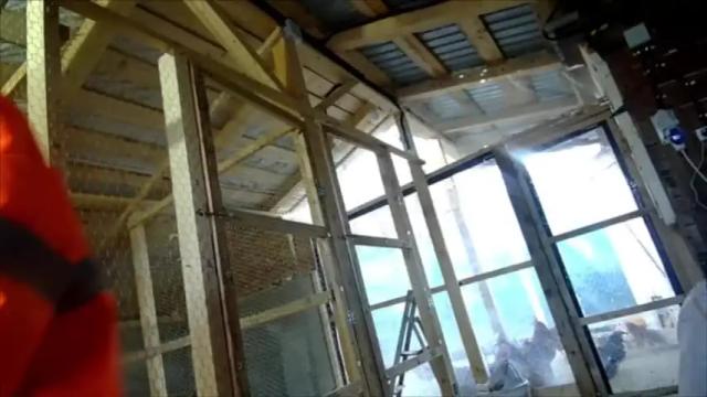 Image 2 of anaworld69 Stream on Chaturbate on 1 month ago