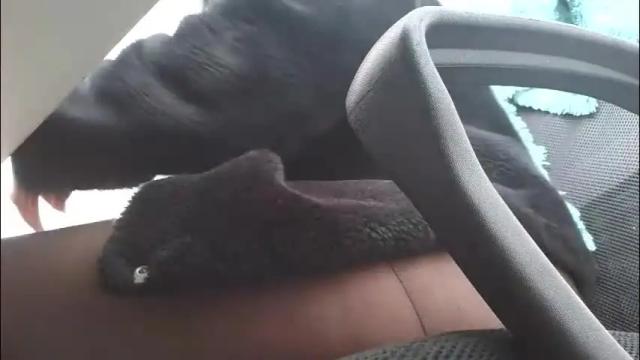 Image 11 of anddrea_ Stream on Chaturbate on 1 month ago