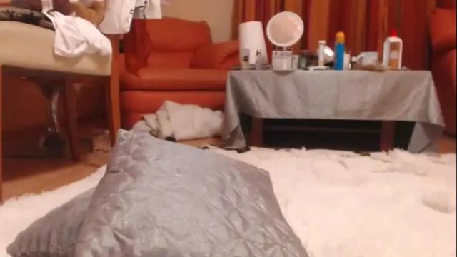 Image 4 of andrasweetie Stream on Chaturbate on 10 days ago