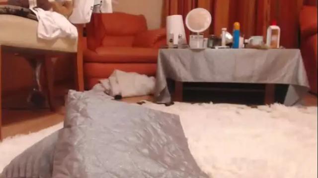 Thumbnail 3, andrasweetie's Stream at Chaturbate, 10 days ago