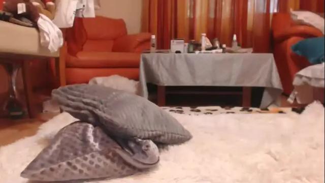 Image 6 of andrasweetie Stream on Chaturbate on 1 day ago