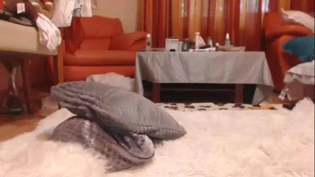 Image 7 of andrasweetie Stream on Chaturbate on 1 day ago