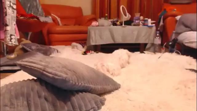 Image 7 of andrasweetie Stream on Chaturbate on 2 months ago