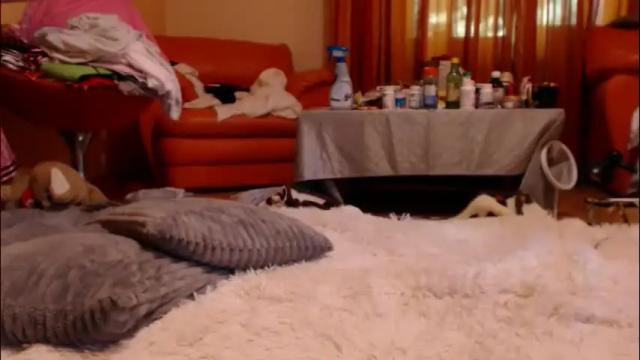 Thumbnail 1, andrasweetie's Stream at Chaturbate, 2 months ago