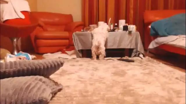 Image 6 of andrasweetie Stream on Chaturbate on 1 month ago