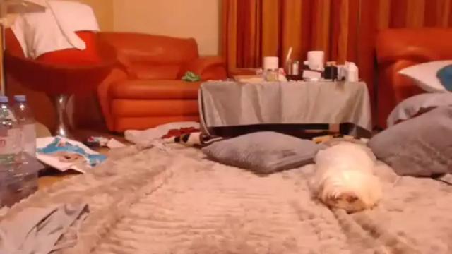 Image 6 of andrasweetie Stream on Chaturbate on 1 month ago