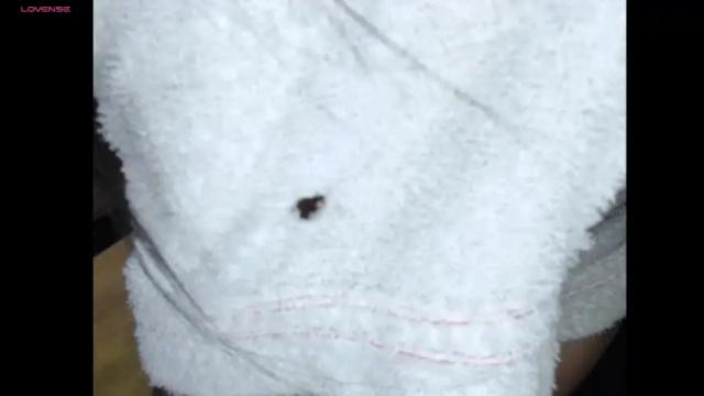 Image 7 of andreavg03 Stream on Chaturbate on 19 months ago