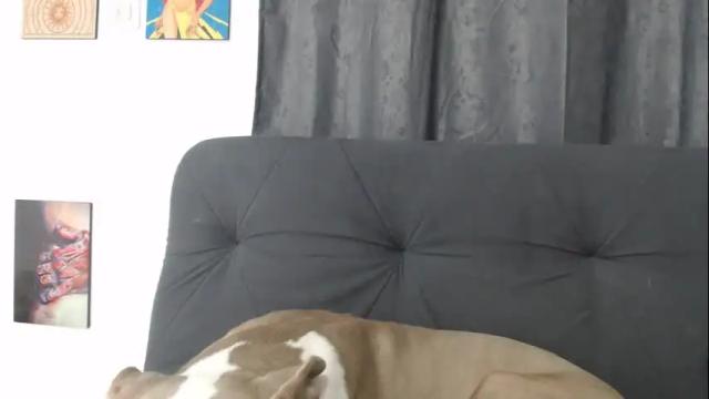 Image 10 of andresgiraldo1 Stream on Chaturbate on 18 days ago