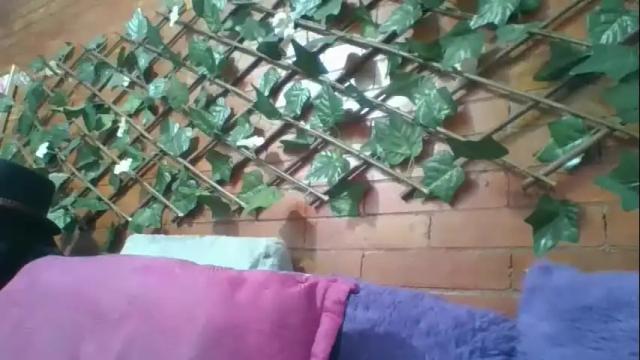 Thumbnail 1, angela_mis's Stream at Chaturbate, 1 month ago