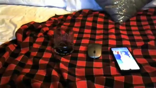 Image 3 of angelicpussy42 Stream on Chaturbate on 21 months ago