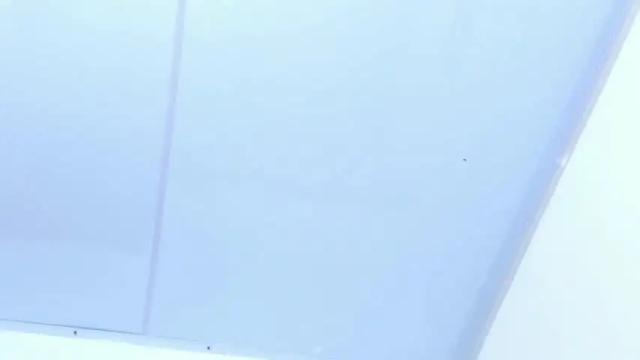 Image 10 of angelique_murphy Stream on Chaturbate on 17 months ago
