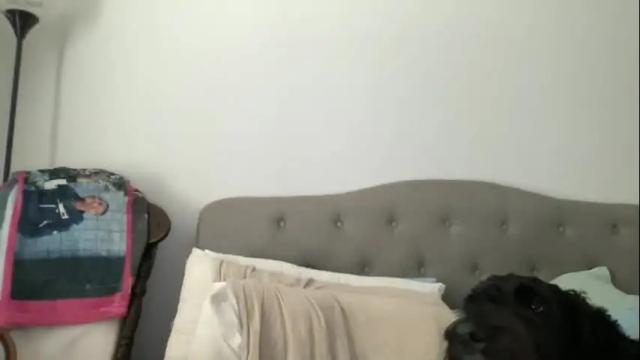 Image 8 of angeloflight273360 Stream on Chaturbate on 8 days ago