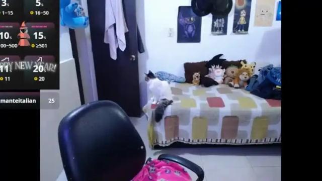 Thumbnail 3, angelswhithe's Stream at Chaturbate, 1 month ago