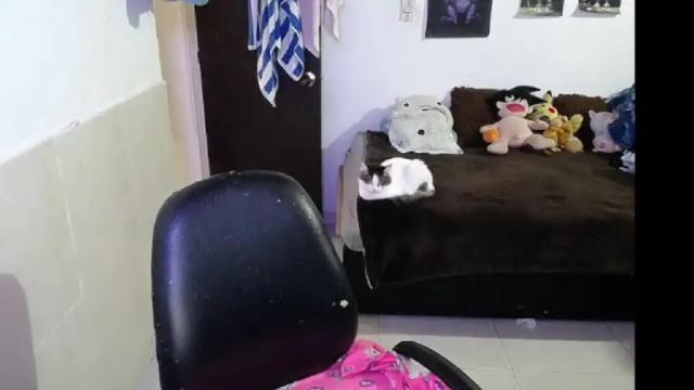 Image 2 of angelswhithe Stream on Chaturbate on 12 days ago