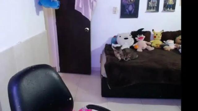 Thumbnail 1, angelswhithe's Stream at Chaturbate, 8 days ago