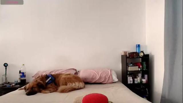 Thumbnail 1, anika_lowen's Stream at Chaturbate, 2 months ago