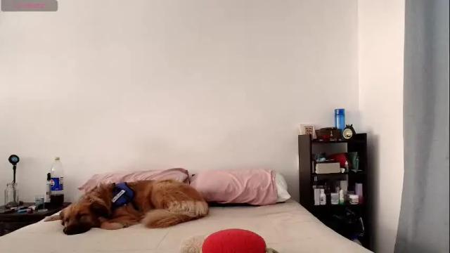 Image 2 of anika_lowen Stream on Chaturbate on 2 months ago