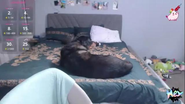 Image 12 of anna_ana Stream on Chaturbate on 9 days ago