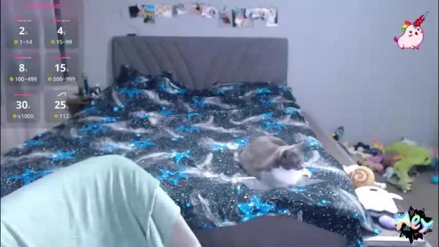 Image 6 of anna_ana Stream on Chaturbate on 1 month ago