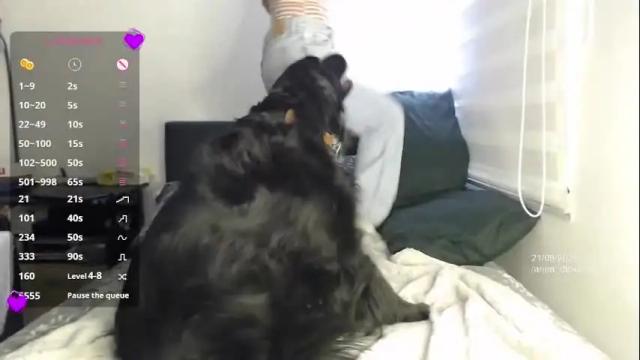 Thumbnail 3, anna_dlove_cam's Stream at Chaturbate, 2 months ago