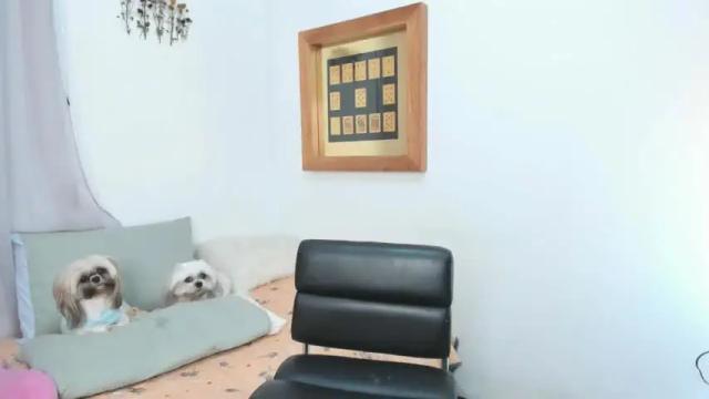 Image 2 of annavalente_ Stream on Chaturbate on 28 days ago