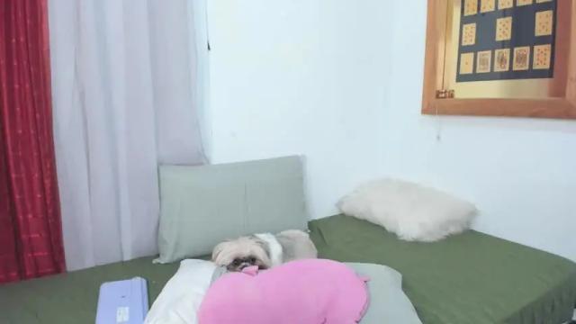 Image 2 of annavalente_ Stream on Chaturbate on 7 days ago