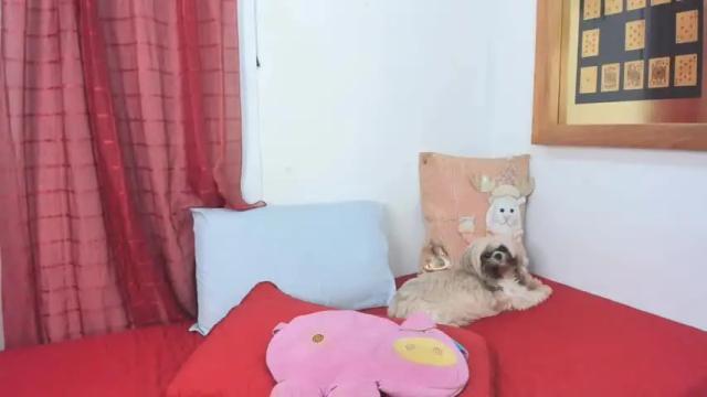 Thumbnail 2, annavalente_'s Stream at Chaturbate, 14 days ago