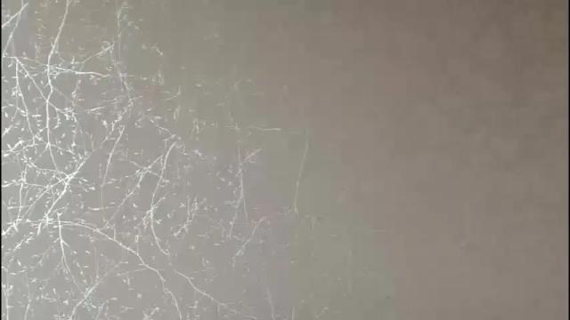 Image 8 of anne_julienne Stream on Chaturbate on 1 month ago