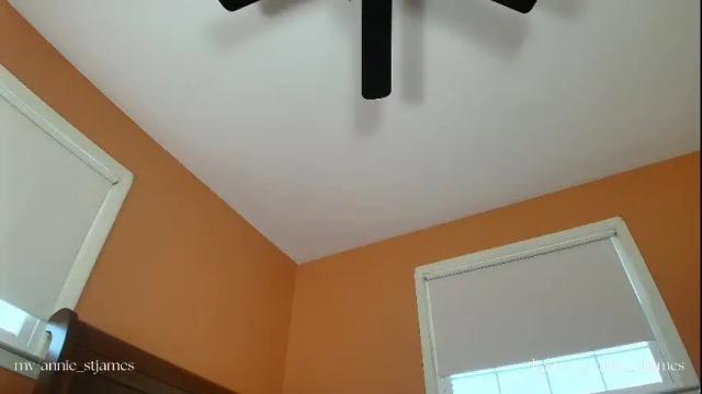 Image 8 of annie_stjames Stream on Chaturbate on 2 months ago