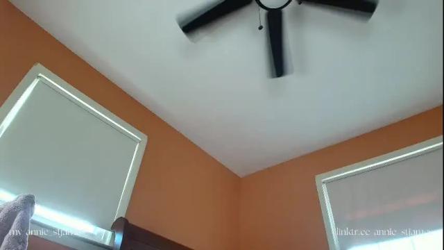 Image 8 of annie_stjames Stream on Chaturbate on 1 month ago