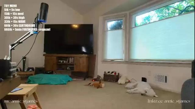 Image 7 of annie_stjames Stream on Chaturbate on 1 month ago