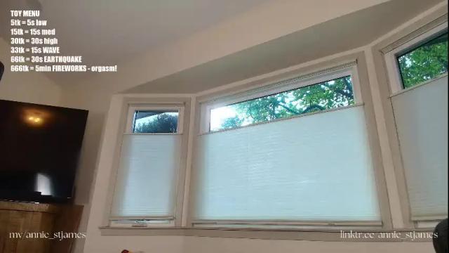 Image 3 of annie_stjames Stream on Chaturbate on 1 month ago