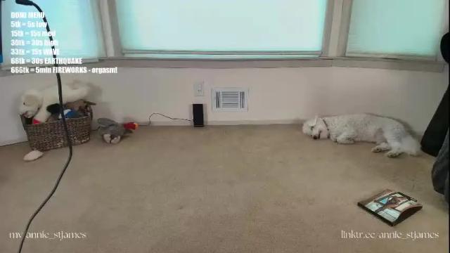 Image 7 of annie_stjames Stream on Chaturbate on 1 month ago