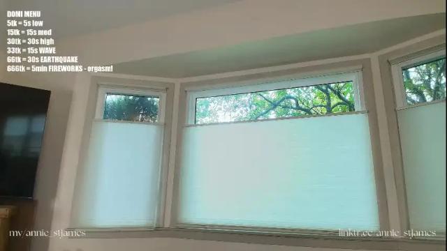 Image 7 of annie_stjames Stream on Chaturbate on 1 month ago