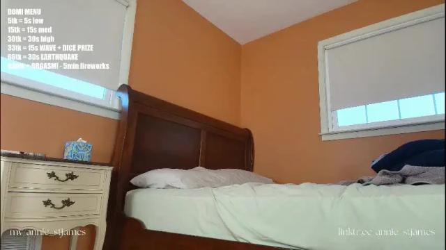 Image 6 of annie_stjames Stream on Chaturbate on 1 month ago