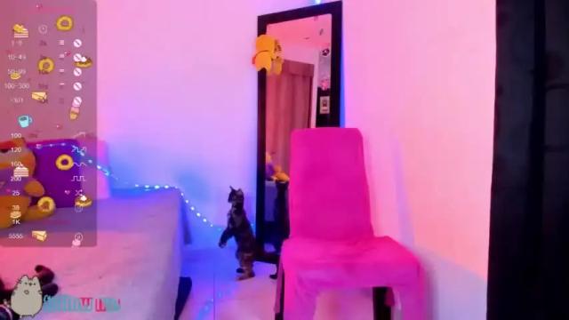 Thumbnail 3, annieeblue's Stream at Chaturbate, 19 months ago