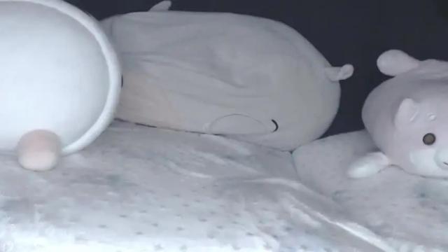 Image 10 of anonymouskitti Stream on Chaturbate on 14 months ago