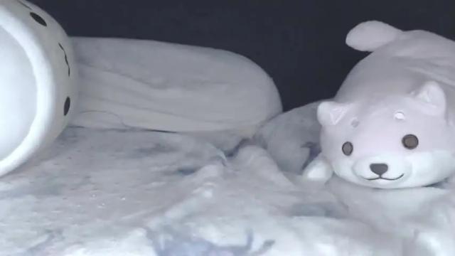 Image 11 of anonymouskitti Stream on Chaturbate on 14 months ago