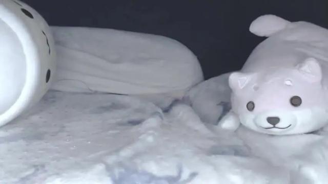 Image 12 of anonymouskitti Stream on Chaturbate on 14 months ago